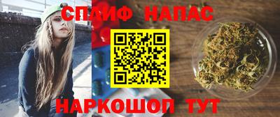 индика Жуковский