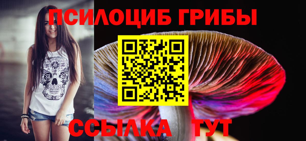 Псилоцибиновые грибы мухоморы Лыткарино